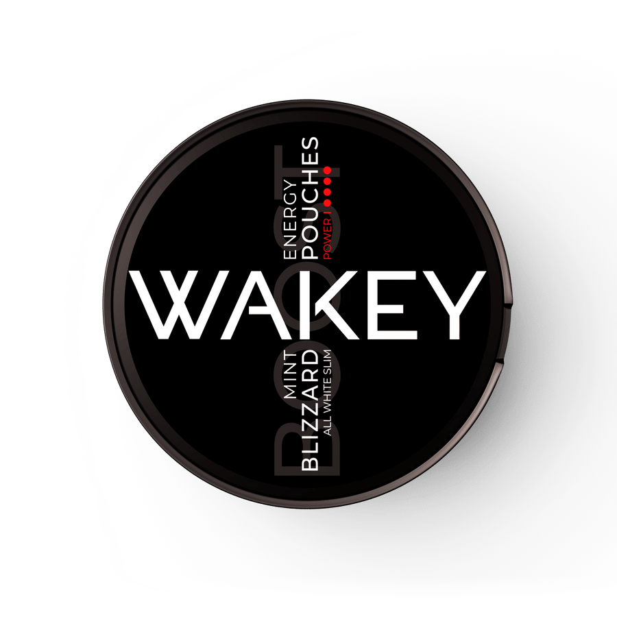 WAKEY Blizzard Mint 100MG - PIQ