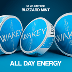 WAKEY Blizzard Mint 50MG - PIQ