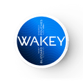 WAKEY Blizzard Mint 50MG - PIQ
