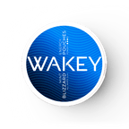 WAKEY Blizzard Mint 50MG - PIQ